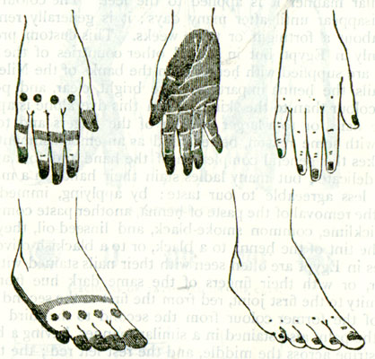 Tattoos  Feet on Beispiele F  R Henna Tattoos  Edward Lane  Manners And Customs Of